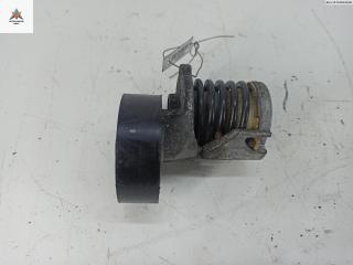 механизм натяжения ремня, цепи Audi A6 4F/C6 [рестайлинг] 2008, 2.0 л., дизель, МКПП, серый, универсал, 950330