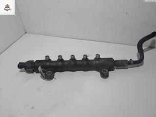 топливная рампа Toyota Auris 1 поколение 2008, 2.0 л., дизель, МКПП, серый, хетчбэк 5 дв., 23810-0R010