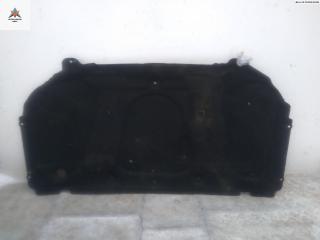 шумоизоляция капота Opel Signum C 2003, 2.2 л., бензин, МКПП, серый, хетчбэк 5 дв., 09178920