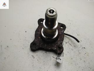 Цапфа задняя (ось ступицы) Ford Fusion 1 поколение 2004, 1.6 л., i, бензин, АКПП, серый, хетчбэк 5 дв.