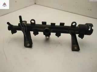 топливная рампа Citroen Xsara Picasso 1 поколение 1999, 1.4 л., бензин, МКПП, красный, универсал, KFX