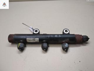 топливная рампа Land Rover Discovery 3 поколение 2007, 2.7 л., дизель, АКПП, серый, внедорожник 5 дв., SWS40271