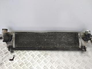 радиатор интеркулера Nissan Qashqai J10 2007, 1.5 л., дизель, МКПП, красный, внедорожник 5 дв., 14461JD50A