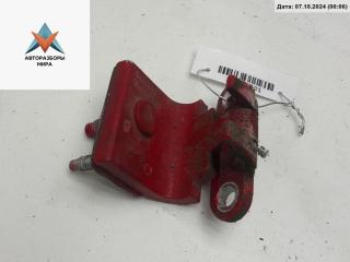 петля крышки багажника Volkswagen Passat B5 1998, красный, универсал