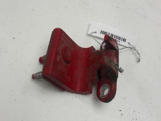 петля крышки багажника Volkswagen Passat B5 1998, красный, универсал