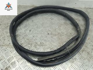 уплотнитель двери Ford Tourneo Connect 1 поколение 2008, 1.8 л., дизель, МКПП, серый, фургон