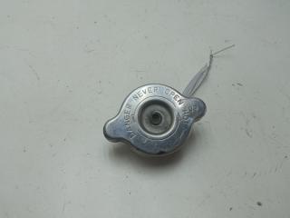 пробка расширительного бачка Hyundai Atos 2 поколение 2005, 1.1 л., бензин, МКПП, серый, хетчбэк 5 дв.