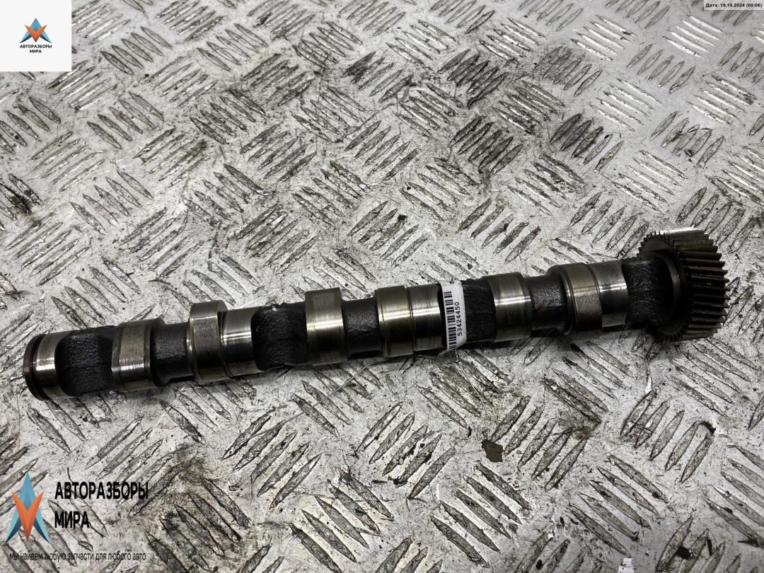 распредвал Audi A4 B6 2002, 2.5 л., дизель, АКПП, синий, универсал - фото №1