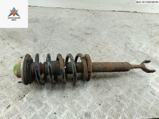 стойка передняя Volkswagen Passat B5 [рестайлинг] 2005, 2.0 л., дизель, МКПП, чёрный, универсал, 3B0413031AB, PRUZHINA, 8D0411105AT