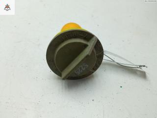 Патрон лампы фонаря Chrysler Voyager 3 поколение 1995, 3.8 л., бензин, АКПП, синий, минивэн, 54681A