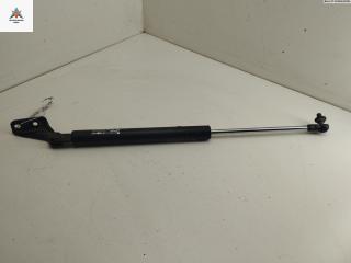 амортизатор крышки багажника (3-5 двери) Nissan Tiida C11 [рестайлинг] 2010, 1.6 л., бензин, МКПП, красный, хетчбэк 5 дв., C210E25