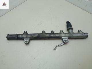 топливная рампа Mitsubishi Space Star 1 поколение 2001, 1.9 л., дизель, МКПП, красный, минивэн, 0281002405