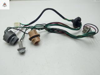 Патрон лампы фонаря Nissan Maxima A34 2005, 3.5 л., бензин, АКПП, серый, седан