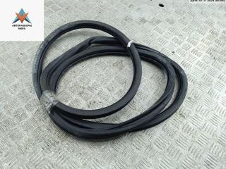 уплотнитель двери Volkswagen Jetta 5 поколение 2005, 2.5 л., бензин, АКПП, синий, седан