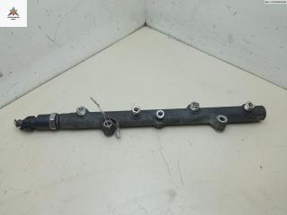 топливная рампа Land Rover Freelander 1 поколение [рестайлинг] 2004, 2.0 л., дизель, МКПП, серый, внедорожник 5 дв., 044521411