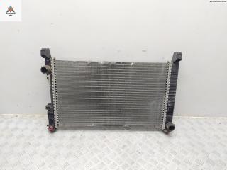 радиатор охлаждения Mercedes-Benz A-Класс W169 2004, 2.0 л., дизель, МКПП, серый, хетчбэк 5 дв., 1695001404