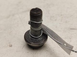 Болт крепления Peugeot 407 1 поколение [рестайлинг] 2010, 2.0 л., дизель, АКПП, чёрный, универсал, SFF10.9