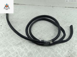 уплотнитель двери Citroen Xsara Picasso 1 поколение 2002, 1.8 л., бензин, МКПП, серый, минивэн, 96584242RD