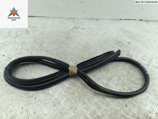 уплотнитель двери Citroen Xsara Picasso 1 поколение 2002, 2.0 л., бензин, АКПП, красный, минивэн, 96584242RD