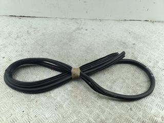 уплотнитель двери Citroen Xsara Picasso 2002, 2.0 л., бензин, АКПП, красный, минивэн, 96584242RD