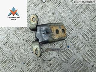 петля двери Nissan Maxima A34 2005, серый, седан