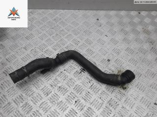 патрубок радиатора Volkswagen Golf 4 поколение 2004, 1.9 л., дизель, 1J0122101