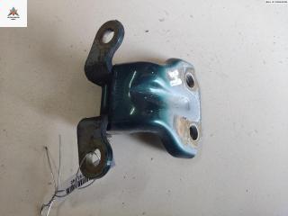 петля двери Hyundai Terracan 1 поколение [рестайлинг] 2004, зелёный, внедорожник 5 дв.