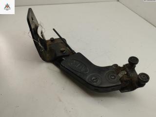 ролик двери сдвижной Kia Carnival UP/GQ [рестайлинг] 2003, 2.9 л., дизель, МКПП, синий, минивэн