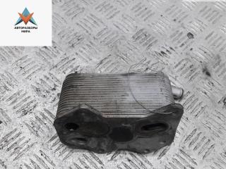 радиатор масляный Volkswagen Touran 1 поколение 2004, 2.0 л., бензин, МКПП, серый, минивэн, 1211124161629