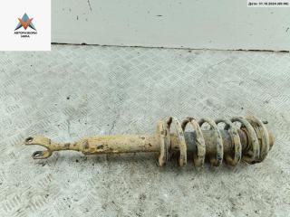 стойка передняя Volkswagen Passat B5 [рестайлинг] 2004, 1.9 л., дизель, МКПП, зелёный, универсал