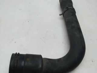 патрубок радиатора Volkswagen Passat B5 [рестайлинг] 2000, 1.6 л., бензин, 8D0121101K