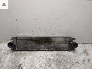 радиатор интеркулера Opel Movano 1 поколение (A) [рестайлинг] 2005, 2.5 л., дизель, МКПП, белый, микроавтобус, 874806M