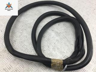 уплотнитель двери Volkswagen Tiguan 1 поколение 2009, 2.0 л., дизель, МКПП, чёрный, внедорожник 5 дв.