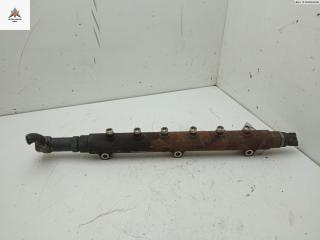 топливная рампа Volvo XC90 1 поколение 2004, 2.4 л., дизель, АКПП, серый, внедорожник 5 дв., 0445215015