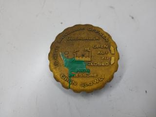 пробка расширительного бачка Opel Vectra B 1997, 1.6 л., бензин, АКПП, серый, седан, 90467473