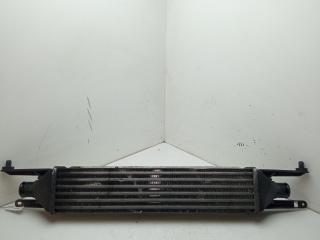 радиатор интеркулера Fiat Grande Punto 2007, 1.3 л., дизель, МКПП, синий, хетчбэк 5 дв., 6302080
