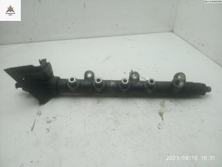 топливная рампа Opel Movano A 2001, 2.2 л., дизель, МКПП, белый, микроавтобус, 0281002405