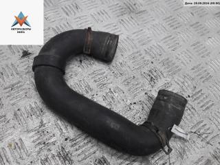 патрубок (трубопровод, шланг) Volkswagen Golf 4 поколение 1999, 1.6 л., бензин, МКПП, синий, хетчбэк 5 дв.