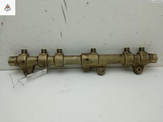 топливная рампа Fiat Marea 1 поколение 2000, 2.4 л., дизель, МКПП, синий, универсал, 0445215005