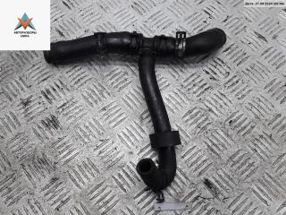 патрубок (трубопровод, шланг) Volkswagen Passat B5 1999, 1.9 л., дизель, МКПП, белый, универсал, AFN