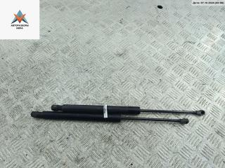 амортизатор крышки багажника (3-5 двери) Volkswagen Golf 5 поколение 2004, 1.4 л., бензин, МКПП, серый, хетчбэк 5 дв.