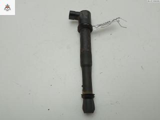 катушка зажигания Fiat Doblo 1 поколение [рестайлинг] 2005, 1.6 л., бензин, МКПП, синий, фургон