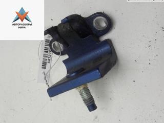 петля крышки багажника Volkswagen Passat B5 1998, синий, универсал