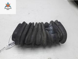 уплотнитель двери Volkswagen Passat B5 [рестайлинг] 2000, 2.5 л., дизель, МКПП, серый, универсал, 8D0959845