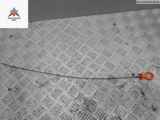 щуп двигателя Volkswagen Golf 4 поколение 1998, 1.4 л., бензин, МКПП, белый, хетчбэк 5 дв., 036115611E