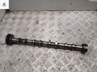 распредвал Fiat Ducato 3 поколение 2007, 2.2 л., дизель, МКПП, белый, микроавтобус