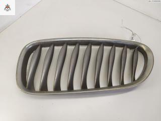 решетка радиатора BMW Z4 E85 2003, синий, кабриолет, 7051957, 7018217, 51137051957