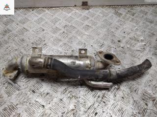 охладитель EGR / Радиатор EGR Volkswagen Transporter T5 2007, 1.9 л., дизель, МКПП, белый, микроавтобус, 038131513J