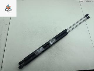 амортизатор крышки багажника (3-5 двери) Lancia Phedra 1 поколение 2007, 2.2 л., дизель, МКПП, серый, минивэн, 1409342090