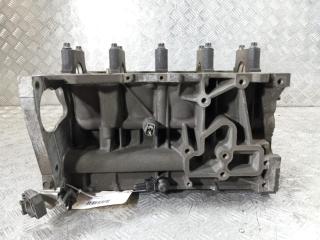 блок цилиндров Nissan X-Trail T31 2009, цвет